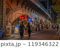 夜の東京都内、鉄道ガード下の風景　飲食店グルメ、仕事帰りのサラリーマン他の後ろ姿を撮影 119346322
