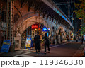 夜の東京都内、鉄道ガード下の風景　飲食店グルメ、仕事帰りのサラリーマン他の後ろ姿を撮影 119346330