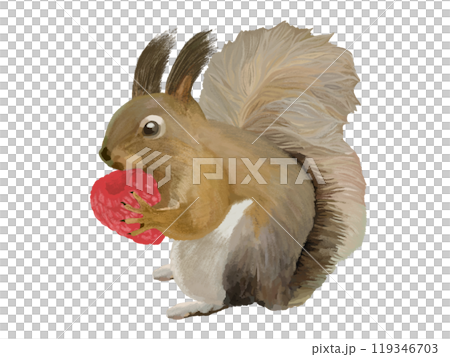 松鼠（覆盆子） 119346703