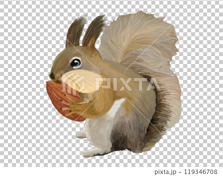 Hokkaido squirrel (cheek pouch) with almonds 119346708