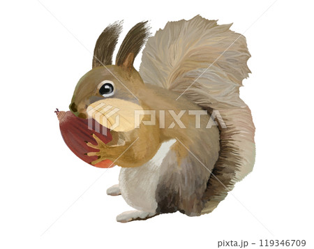 エゾリス(頬袋)ドングリ付き エゾリス(頬袋)ドングリ付き 119346709