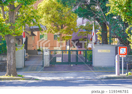 東京科学大学 119346781