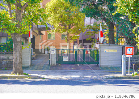 東京科学大学 東京科学大学 119346796