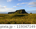 アイスランドの壮大な山々 119347149