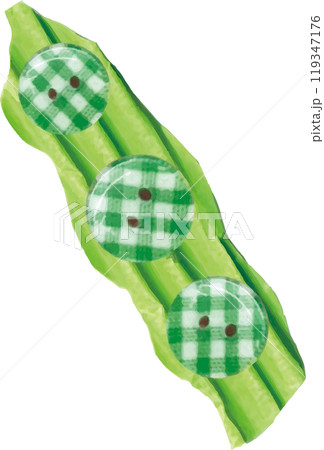 緑色のチェックのかわいい枝豆 119347176