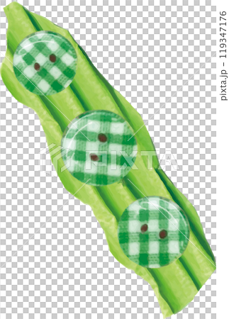 緑色のチェックのかわいい枝豆 119347176