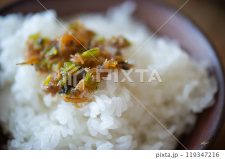 炊きたてのご飯と、小松菜と雑魚の炒め 炊きたてのご飯と、小松菜と雑魚の炒め 119347216