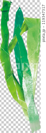 Green onion Green onion 119347317