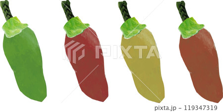 ハラペーニョ ハラペーニョ 119347319