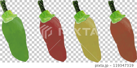 ハラペーニョ ハラペーニョ 119347319