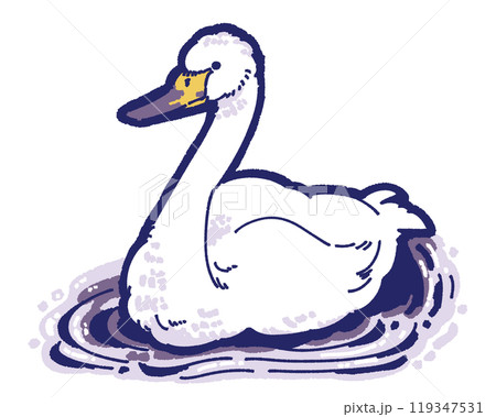 冬の野鳥のイラスト　白鳥 119347531