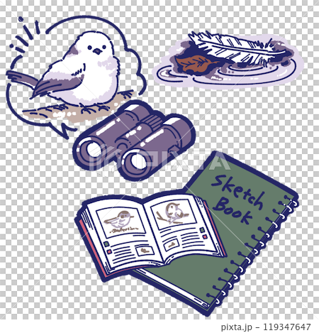 觀鳥項目插畫 觀鳥項目插畫 119347647