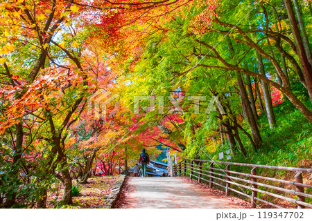 香嵐渓（秋） 119347702