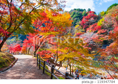 香嵐渓（秋） 119347784