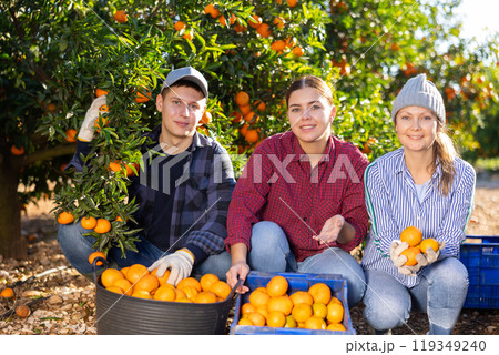 Portrait of three hardworking farmers Portrait of three hardworking farmers 119349240