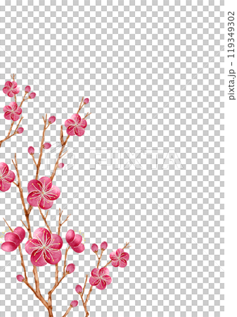 紅梅 花　背景 フレーム  縦位置　水彩 イラスト 119349302