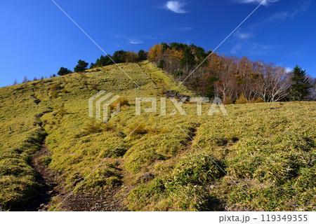 山梨県・秋の大菩薩嶺・石丸峠 119349355