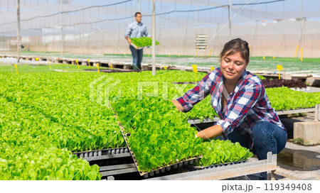Female agriculturist working in warm house 119349408