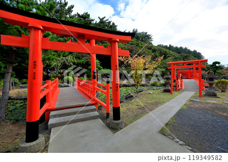 高山稲荷神社　千本鳥居 119349582