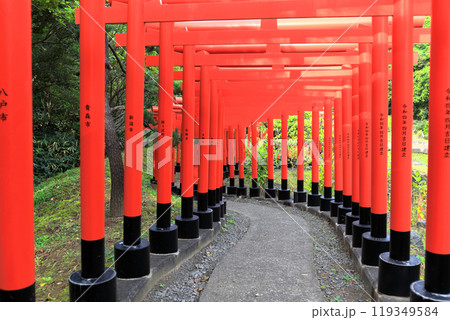 高山稲荷神社 千本鳥居 高山稲荷神社 千本鳥居 119349584
