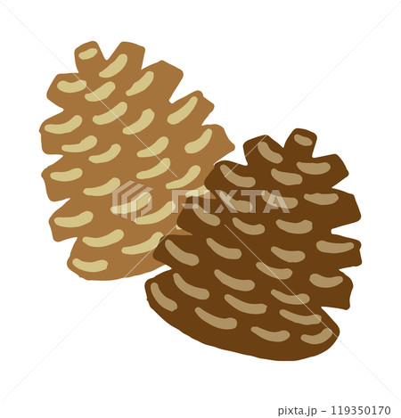 松ぼっくりのイラスト 手書きイラスト 119350170