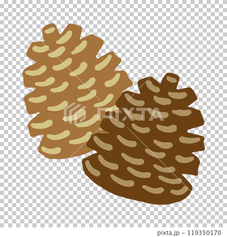 松ぼっくりのイラスト 手書きイラスト 119350170