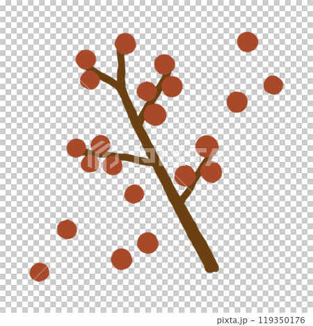 簡單堅果的手繪插圖 119350176