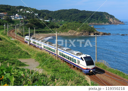 【JR東日本】E653系1100番台 特急「しらゆき」と日本海（信越本線：鯨波〜青海川） 119350218
