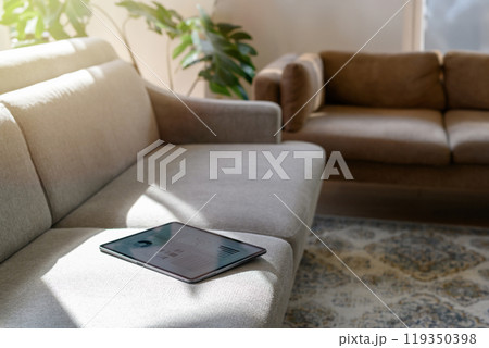 部屋での写真 119350398