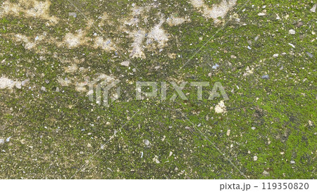 concrete wall abstract background texture cement grey gray backdrop old. design grunge rough art surface floor empty stone retro white textured wallpaper decorative light weathered interior pattern. concrete wall abstract background texture cement grey gray backdrop old. design grunge rough art surface floor empty stone retro white textured wallpaper decorative light weathered interior pattern. 119350820