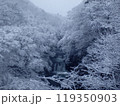雪の中の鳳鳴四十八滝 119350903
