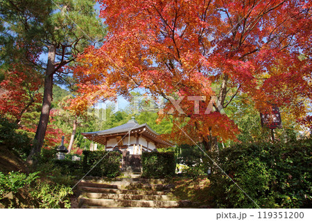 秋の常寂光寺 119351200