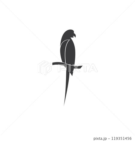Parrot Logo Design Vector template Parrot Logo Design Vector template 119351456