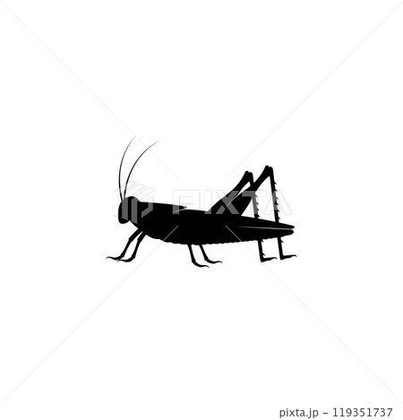 Grasshopper Logo Template vector icon Grasshopper Logo Template vector icon 119351737