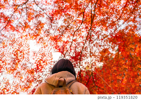【神奈川県】鮮やかな紅葉と女性の後姿 119351820