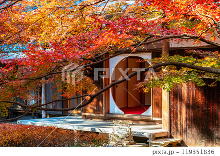 【神奈川県】しっとりした紅葉が綺麗な鎌倉の明月院 119351836