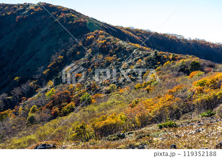 茶臼岳の牛ヶ首から、紅葉する低木と尾根筋を撮影 茶臼岳の牛ヶ首から、紅葉する低木と尾根筋を撮影 119352188