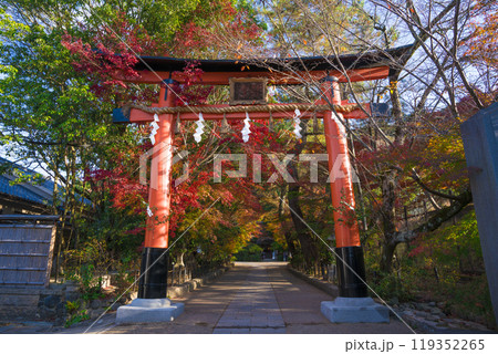 京都 宇治上神社の紅葉 京都 宇治上神社の紅葉 119352265