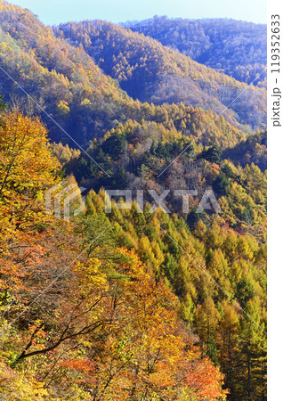紅葉 119352633