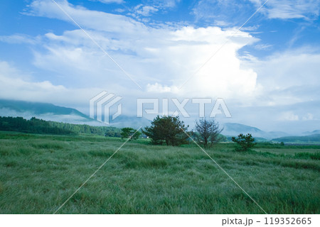 <長崎県五島市岐宿町山内>朝霞 <長崎県五島市岐宿町山内>朝霞 119352665
