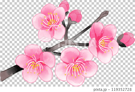 梅花枝水彩插圖 119352728