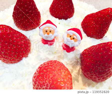 サンタのクリスマスケーキ 119352820