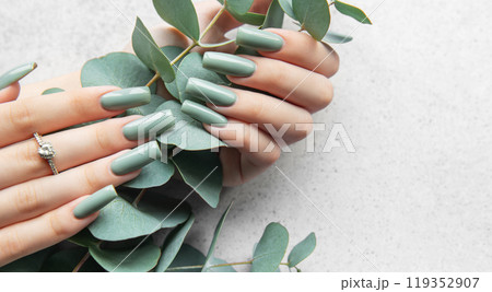 Elegant hands with long, mint green nails delicately hold fresh eucalyptus leaves against a light 119352907