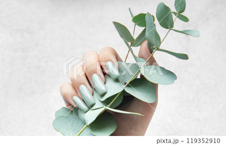 Elegant hands showcasing gray-green nails while holding fresh eucalyptus stems against a soft 119352910