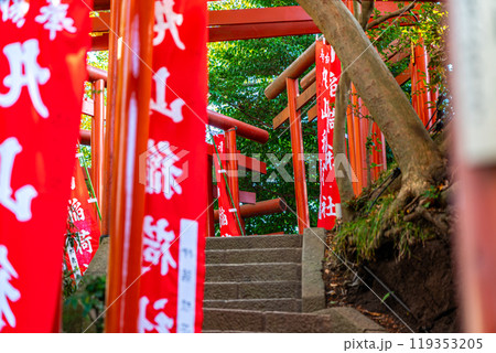 【神奈川県】鎌倉の鶴岡八幡宮にある丸山稲荷社 【神奈川県】鎌倉の鶴岡八幡宮にある丸山稲荷社 119353205