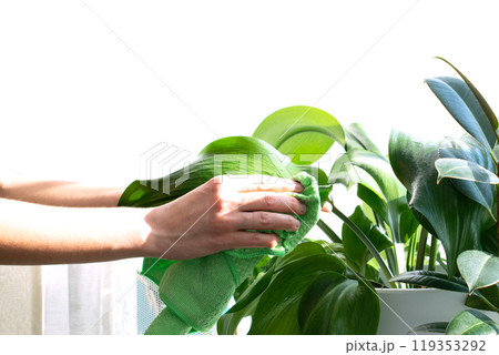 Sprayers 119353292