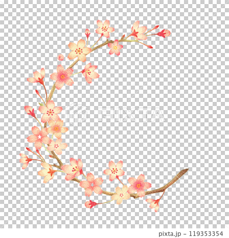 桜と枝の飾り枠　手描き色鉛筆画 119353354