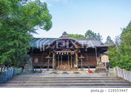 京都　向日神社の拝殿　 119353447