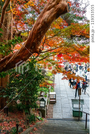 【神奈川県】鮮やかな紅葉が綺麗な鎌倉の長谷寺 119353555