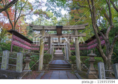 京都　向日神社内の勝山稲荷社 119353594